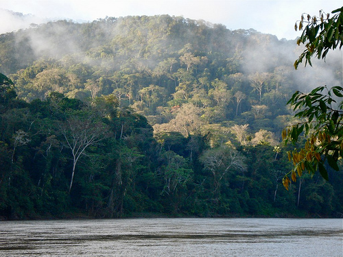 Национальный парк Мадиди